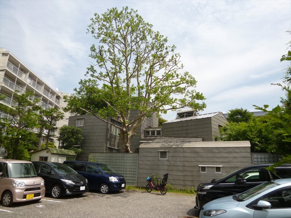 住宅設計の原点 楽しい設計と家づくりの日々 Sekio S Blog