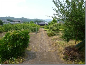 P1110897_R