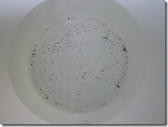 P1110117