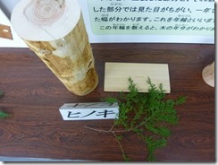R_P1260758