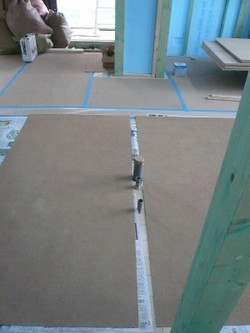 Sp1040181