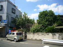 Sp1070654