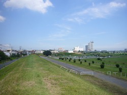 Sp1070662