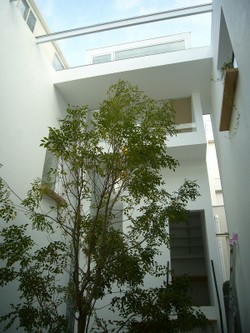 Sp1150776