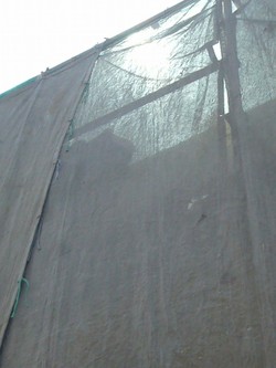 Sp1180511