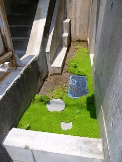 P1000129