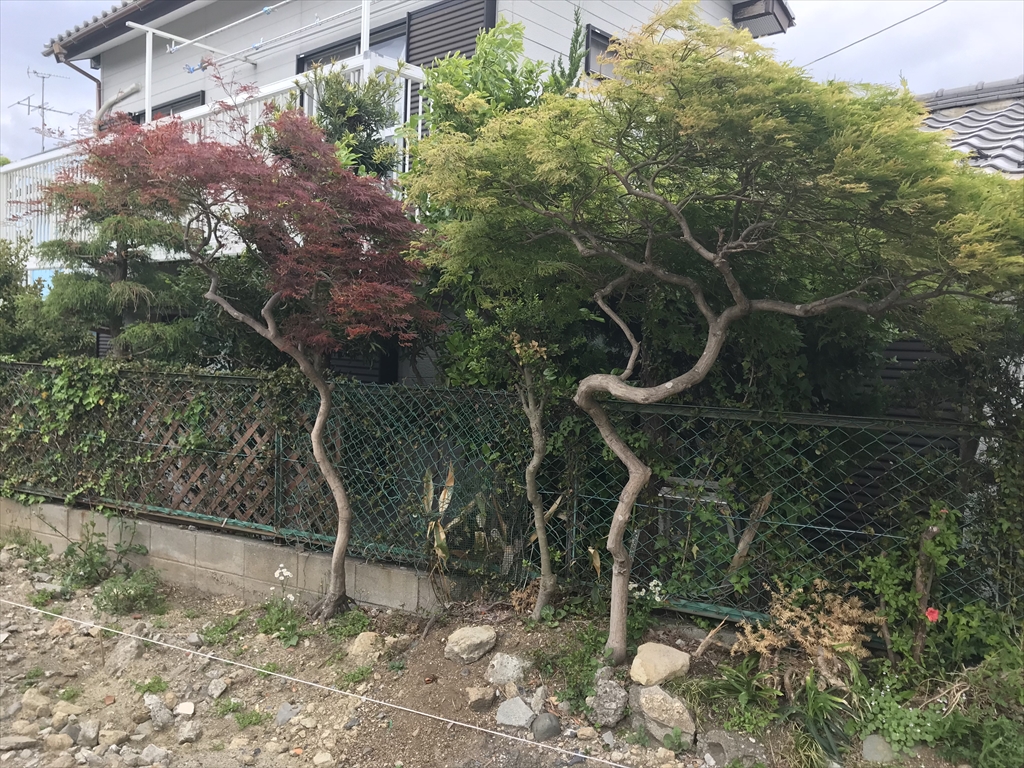 根回し | 楽しい設計と家づくりの日々~Sekio's Blog