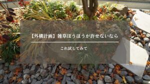 外構　雑草　アイキャッチ画像 (4)